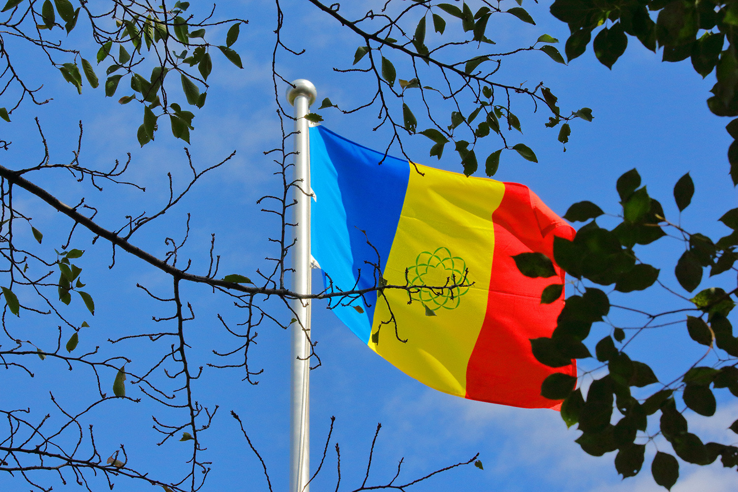 Soka Gakkai's tricolored flag flutters in the wind under clear blue skies. (Tokyo, October 2023)