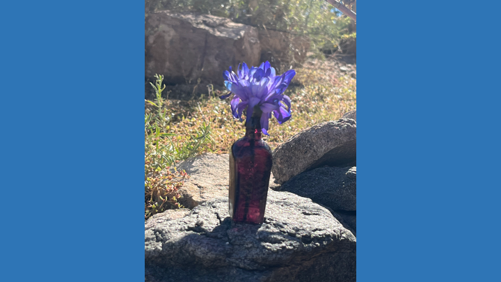 Prof. Emerita Sarah Wider gives talk on Dialogue's Poetic Heart: Daisaku Ikeda's Ethos of Encouragement at Soka Univ of America