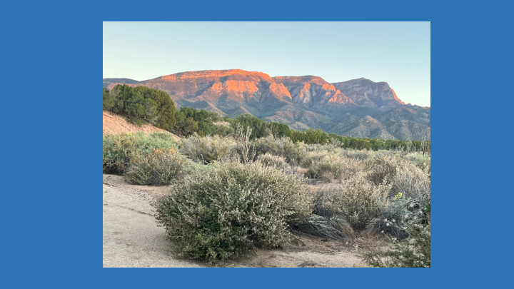 Prof. Emerita Sarah Wider gives talk on Dialogue's Poetic Heart: Daisaku Ikeda's Ethos of Encouragement at Soka Univ of America