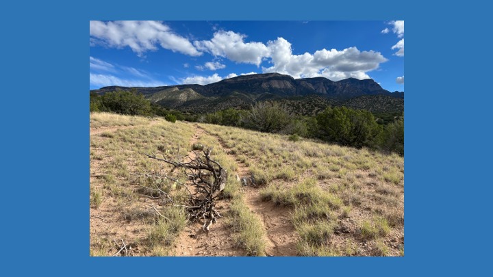 Prof. Emerita Sarah Wider gives talk on Dialogue's Poetic Heart: Daisaku Ikeda's Ethos of Encouragement at Soka Univ of America