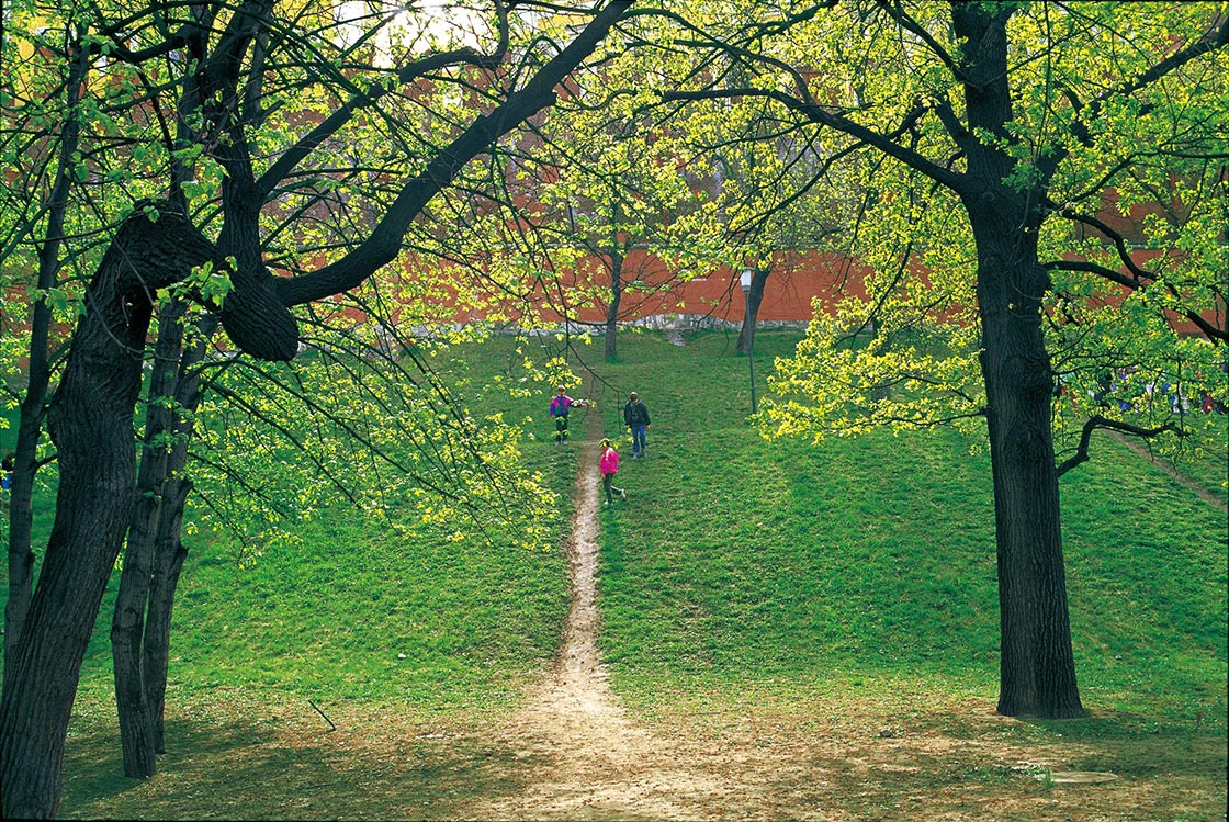 Photo by Daisaku Ikeda – Moscow in Green