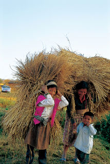 Kathmandu, Nepal (November 1995)